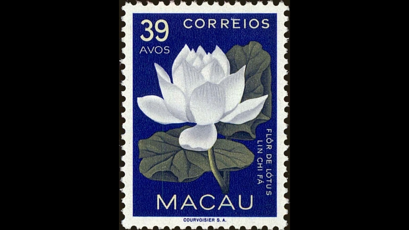 A postage stamp from the mailmonk launch film